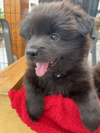 Von den Wendlandspitzen