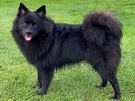 Von den Wendlandspitzen