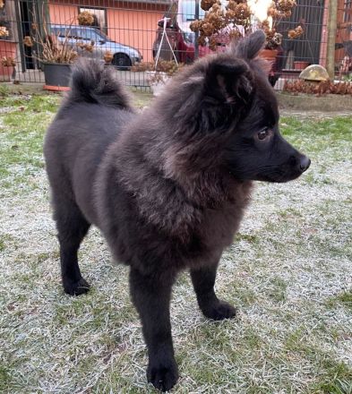 Von den Wendlandspitzen