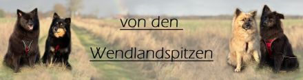 Von den Wendlandspitzen