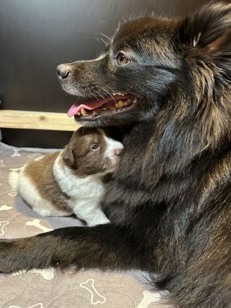 Von den Wendlandspitzen