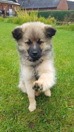 Von den Wendlandspitzen