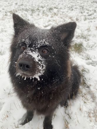 Von den Wendlandspitzen