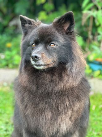 Von den Wendlandspitzen