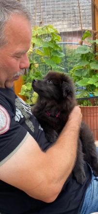 Von den Wendlandspitzen