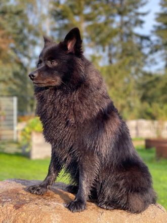 Von den Wendlandspitzen