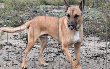 Creo wünscht sich ein Leben an deiner Seite