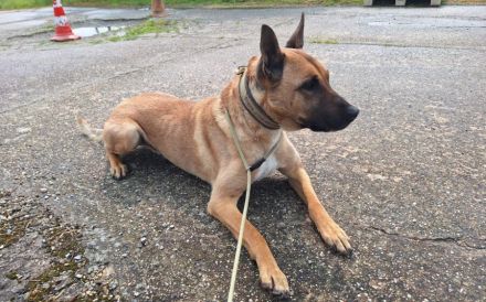 Creo wünscht sich ein Leben an deiner Seite