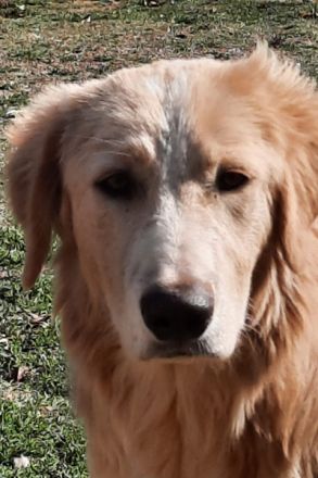 Caronte sucht sein Glück!