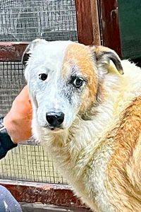 Thyson hofft auf Dich!