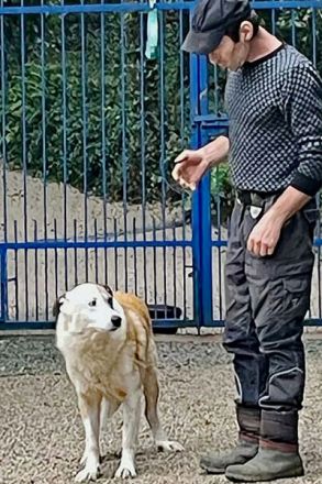 Thyson hofft auf Dich!