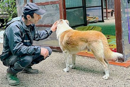 Thyson hofft auf Dich!