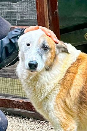 Thyson hofft auf Dich!