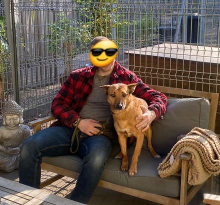 Emily, ca. 40cm, a.d.Tierschutz, sucht Herzensmenschen