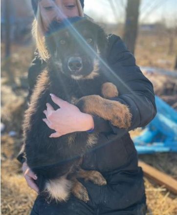 TONI möcht nicht allein zurückbleiben