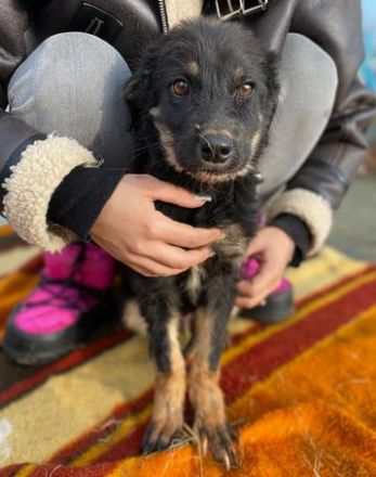 TONI möcht nicht allein zurückbleiben