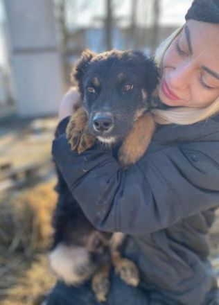 TONI möcht nicht allein zurückbleiben