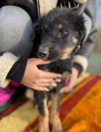 TONI möcht nicht allein zurückbleiben