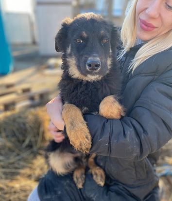 TONI möcht nicht allein zurückbleiben