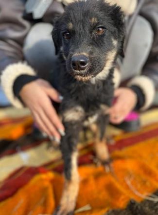 TONI möcht nicht allein zurückbleiben