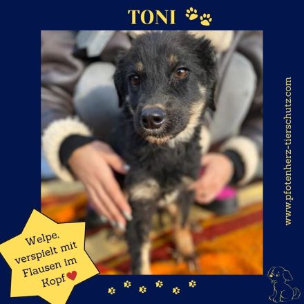 TONI möcht nicht allein zurückbleiben