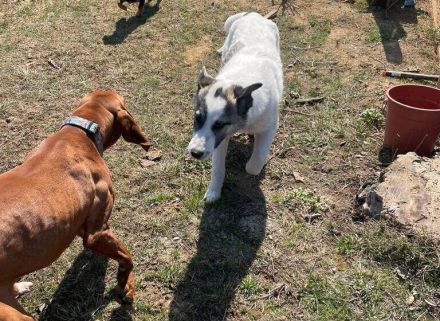 Eroberst du mit Arwen das Leben?