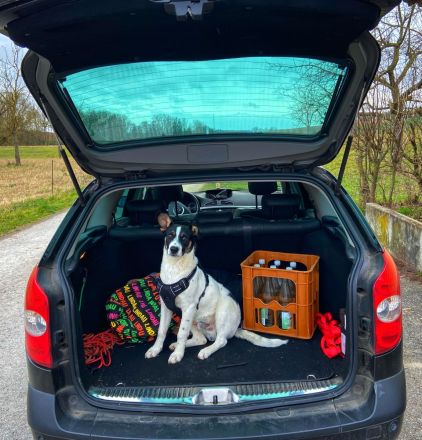 Eddy sucht neues Zuhause