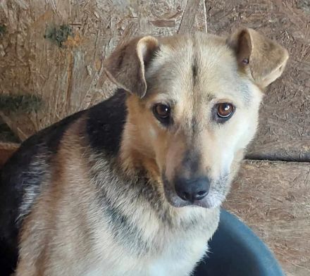Barney, sucht Menschen mit Erfahrung