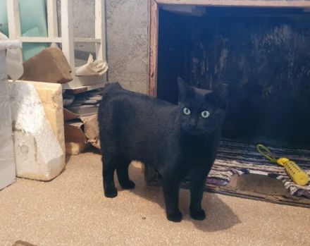 Einzelprinzessin Muria sucht ihre Familie