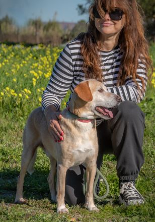 Lord - ein toller Kumpel