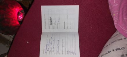 Old english bulldog welpen