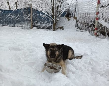 Timo wünscht sich ein ruhiges Heim