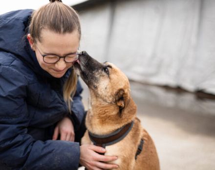 Wer schenkt Kanja ein liebevolles Zuhause?