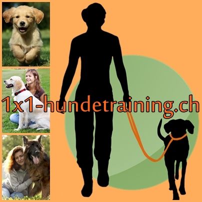 1x1 Hundetraining - Regionale Hundeschule Rheintal SG - Buchs - Liechtenstein und Umgebung
