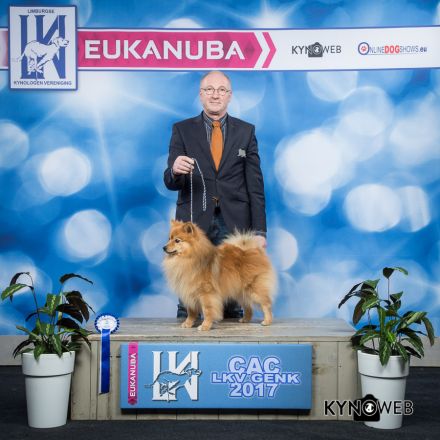 Middenslagkeesjes Oet'n Hekkertshook