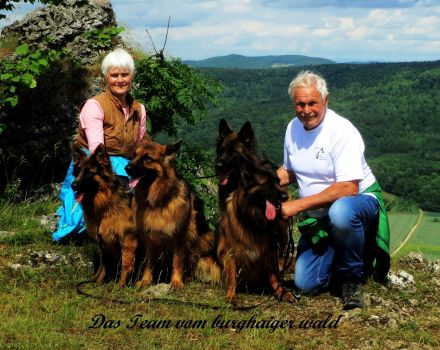 Altdeutsche Schäferhunde vom Burghaiger-Wald