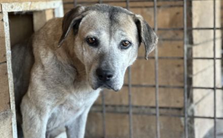Wird Salli deine Freundin für's Leben?