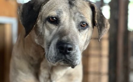 Wird Salli deine Freundin für's Leben?