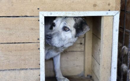 Wird Salli deine Freundin für's Leben?