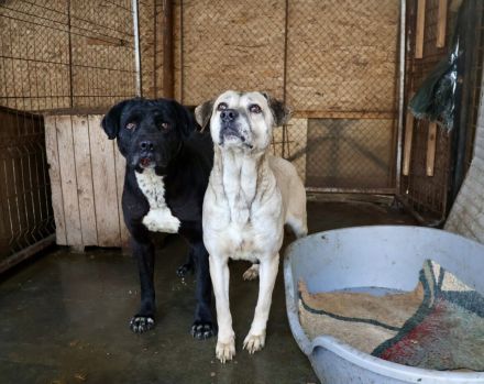 Wird Salli deine Freundin für's Leben?