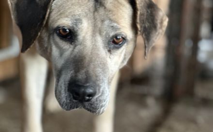 Wird Salli deine Freundin für's Leben?