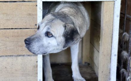 Wird Salli deine Freundin für's Leben?