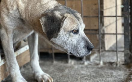 Wird Salli deine Freundin für's Leben?