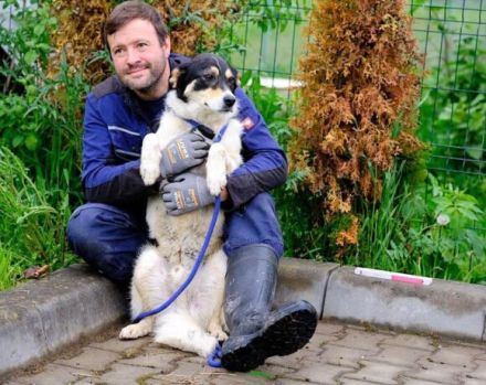 Sarut wartet schon Jahre auf sein Zuhause – das hat Spuren hinterlassen.