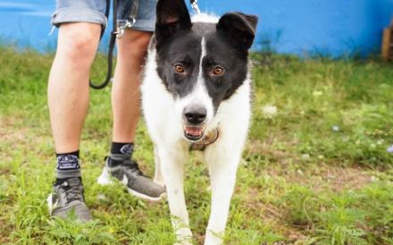 Zeigst du der hübschen Wallie die Welt?