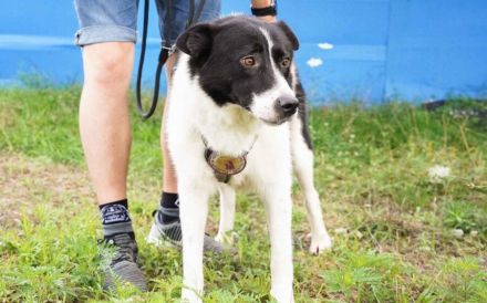 Zeigst du der hübschen Wallie die Welt?