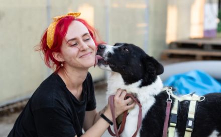 Zeigst du der hübschen Wallie die Welt?