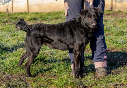 Mamba, ist immer zu Späßen aufgelegt und bringt Euch zum Lachen