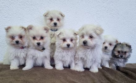 Wir suchen bald ein neues Zuhause