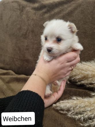 Wir suchen bald ein neues Zuhause